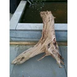 2x mega aquarium hout