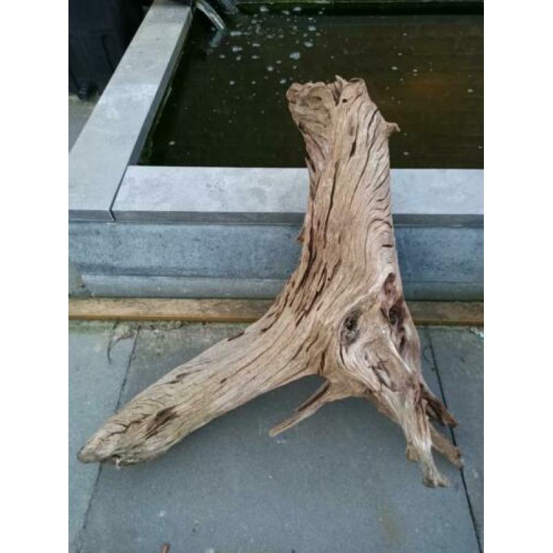 2x mega aquarium hout