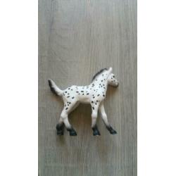 2 sleich veulens te koop