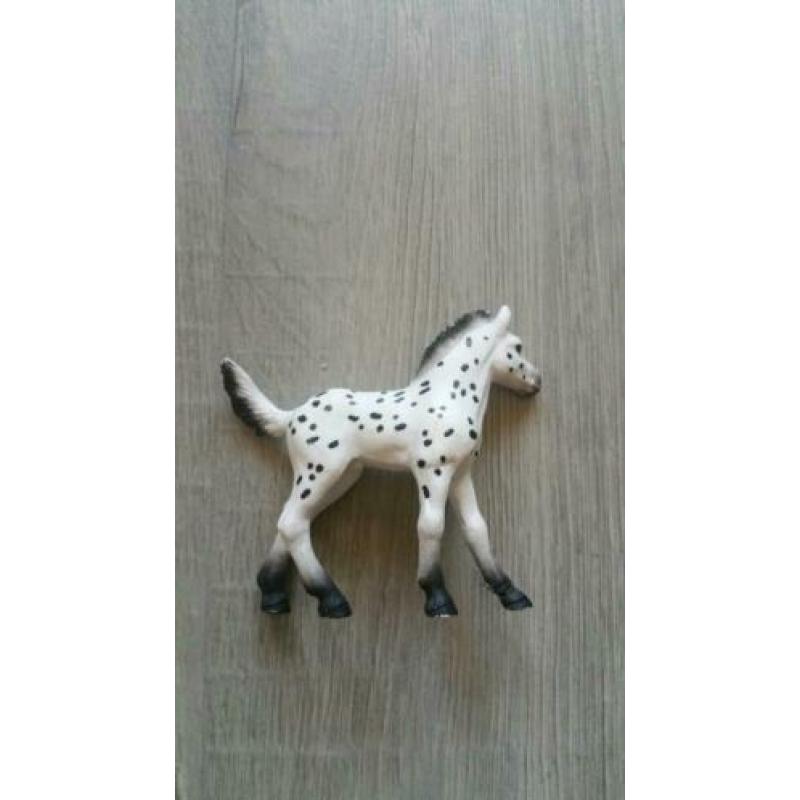 2 sleich veulens te koop