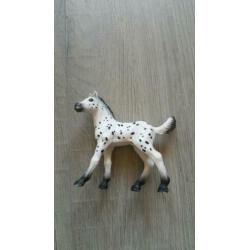 2 sleich veulens te koop