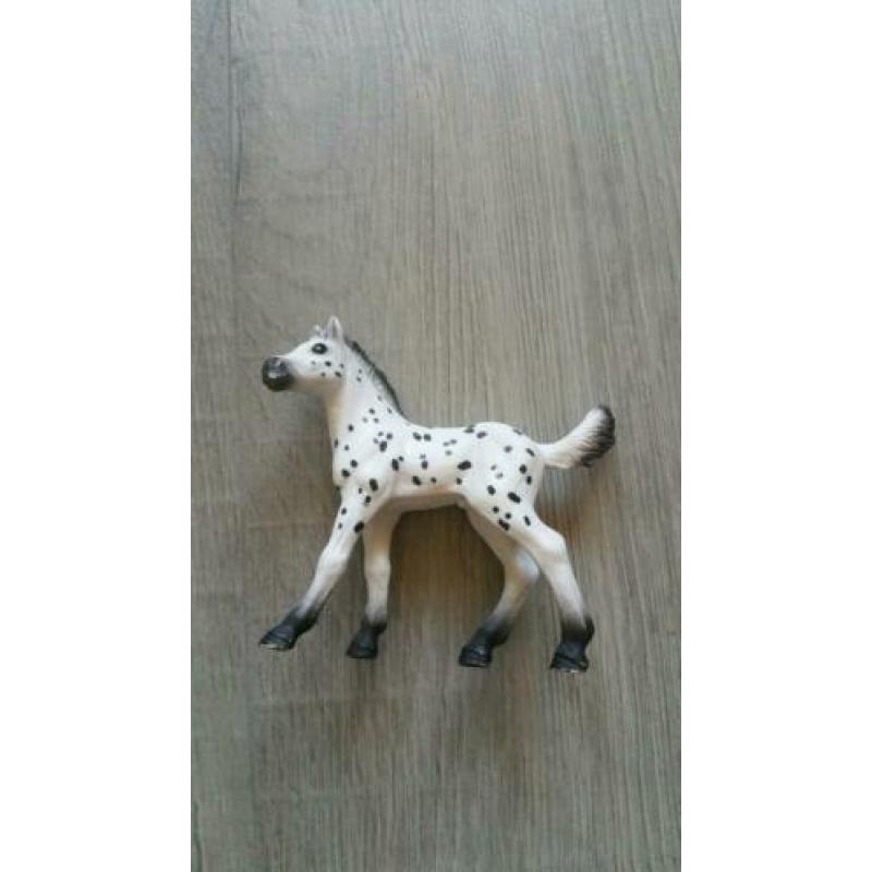 2 sleich veulens te koop