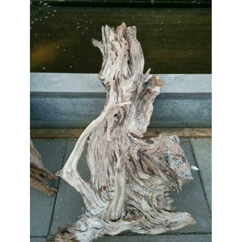 2x mega aquarium hout