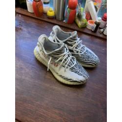 Yeezy zebra