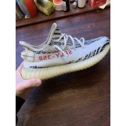 Yeezy zebra