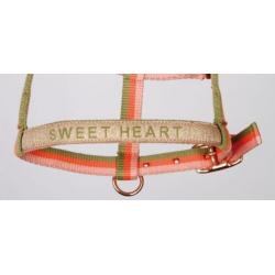 Harry's Horse Veulenhalster, 2 kleuren voor hengst of merrie