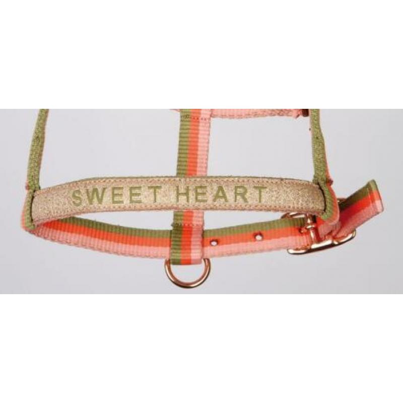 Harry's Horse Veulenhalster, 2 kleuren voor hengst of merrie