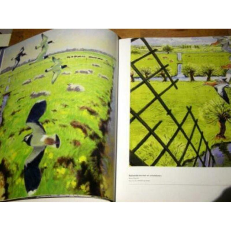 Wieken, wind en weidevogels. Molens in Utrechts landschap'06