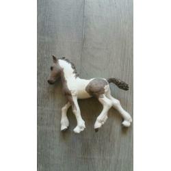 2 sleich veulens te koop