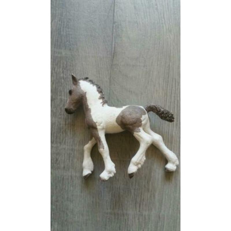 2 sleich veulens te koop