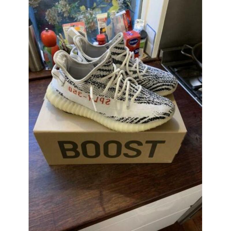 Yeezy zebra