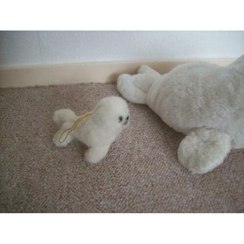 Zeehond knuffel