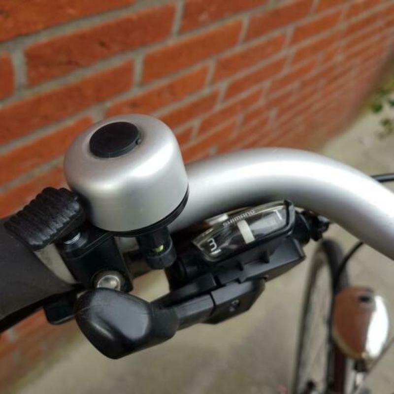 Damesfiets Giant Freerider 61cm