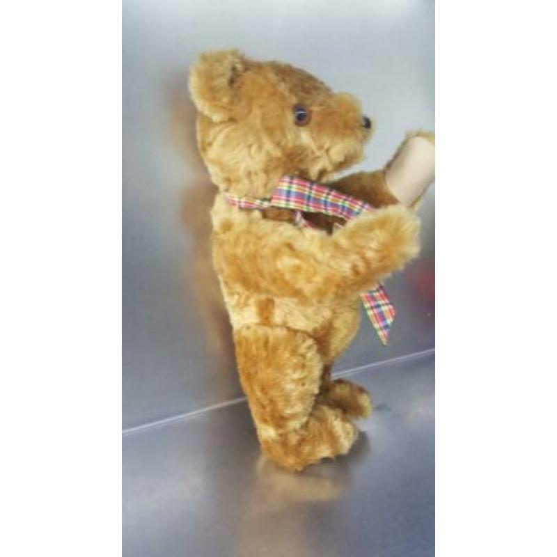 Teddybeer, originele Hermann Teddy beer
