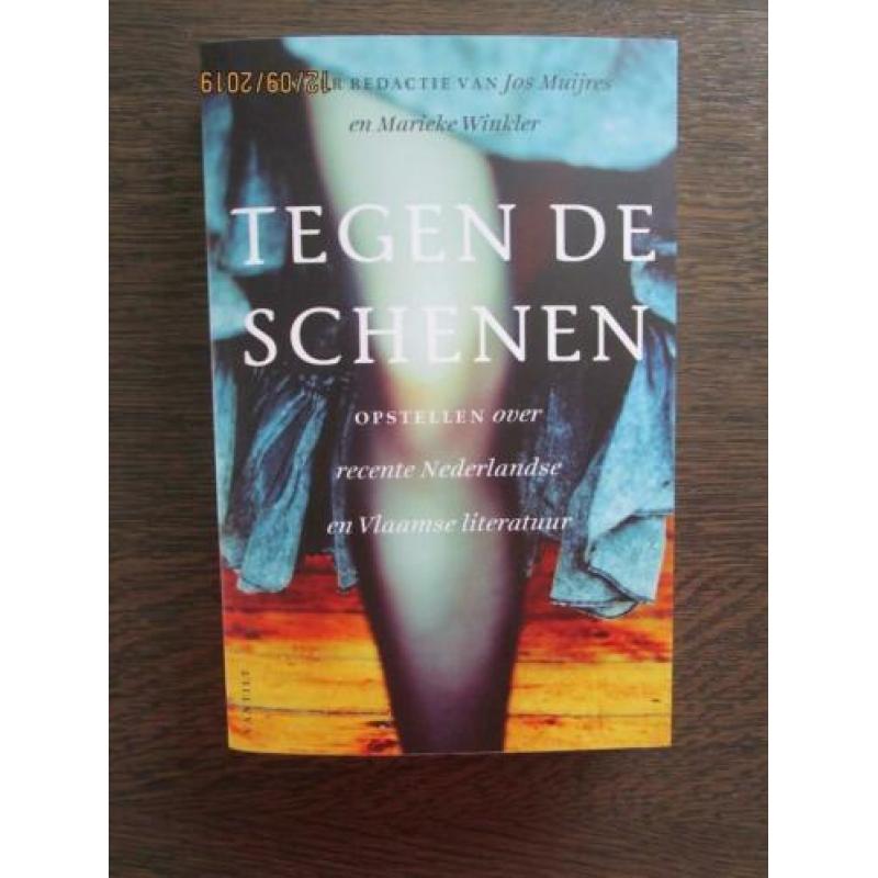 Tegen de schenen. Opstellen over Nederlandse en Vlaamse