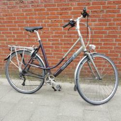 Damesfiets Giant Freerider 61cm