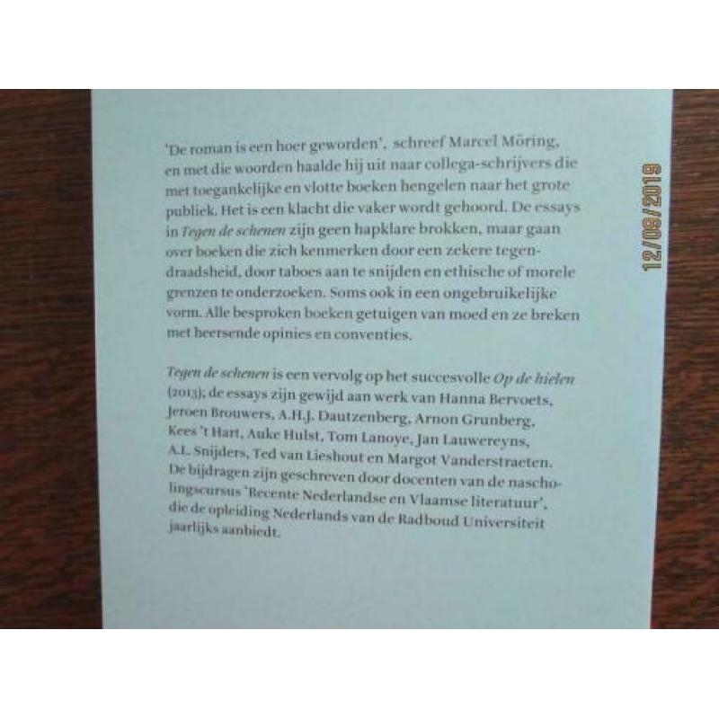 Tegen de schenen. Opstellen over Nederlandse en Vlaamse