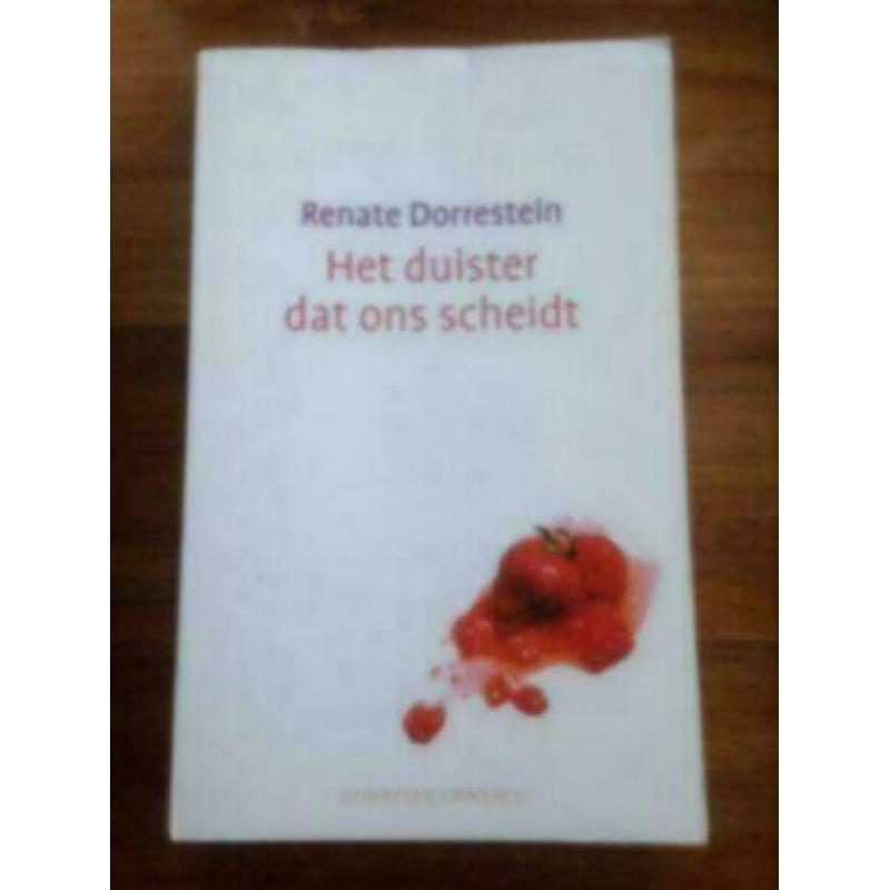 Renate dorrestein : het duister dat ons scheidt