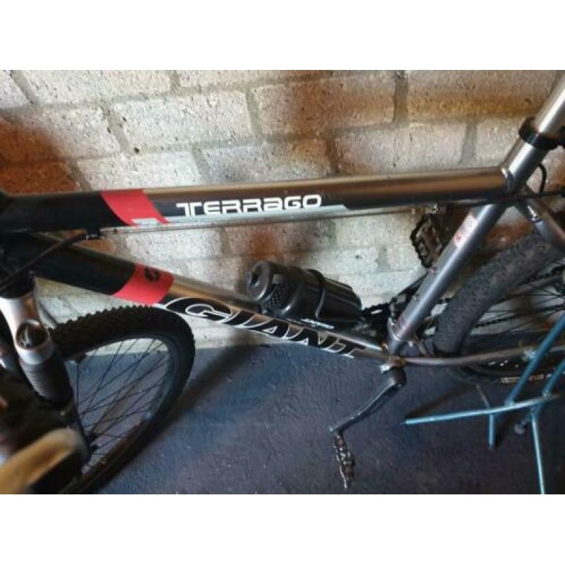 Mtb giant terrago!!!