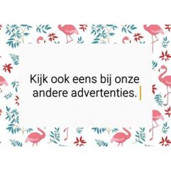 365 berenverhaaltjes voor het slapen gaan