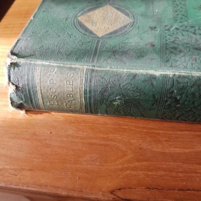 Aesop's Fables 1882