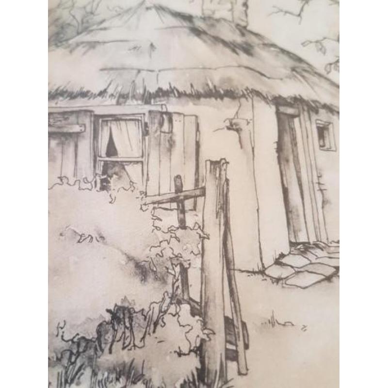 Lies veenhoven aquarel