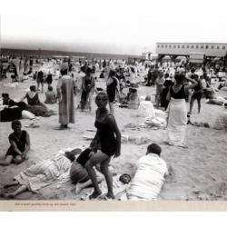 Een dagje aan zee : de mooiste en vrolijkste strandfoto's !