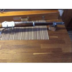 Martini henry carabin