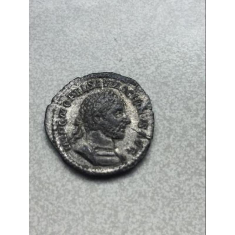 Romeinse munt bodemvondst