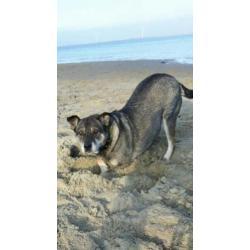 Noushka (9jr) zou graag verhuizen