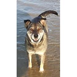 Noushka (9jr) zou graag verhuizen